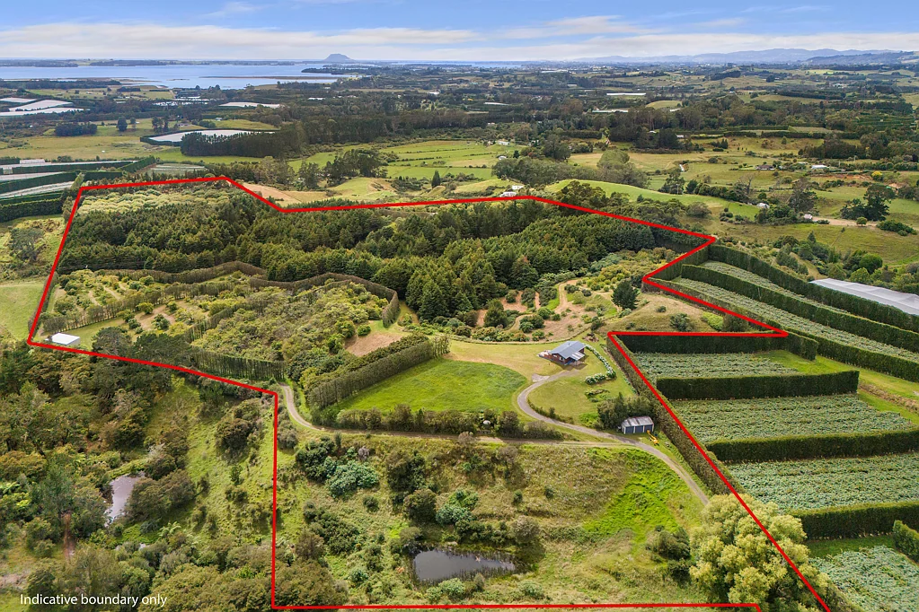 Katikati  Endless Possibilities