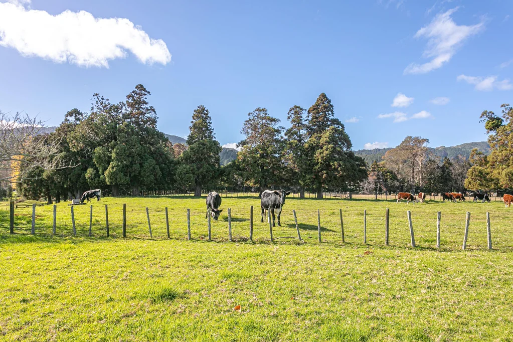 Coromandel Country Gate in Town