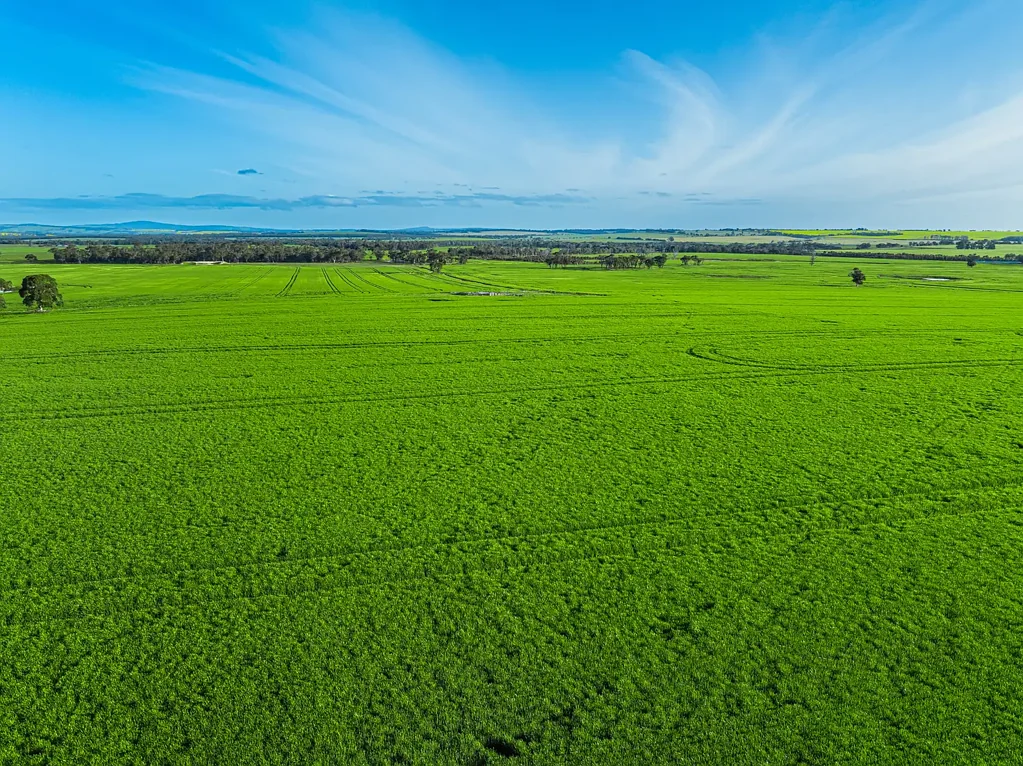 Kendenup  🌾 “Van Zeyls” – Productive Add-On Cropping Block