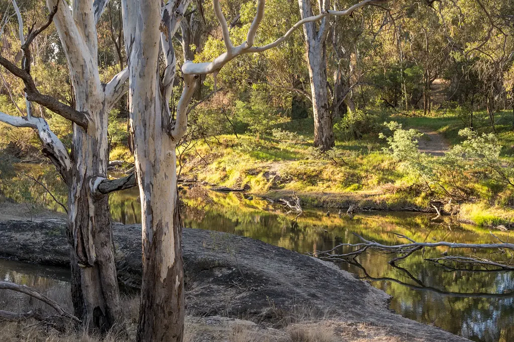CA15A and 15B, 1106 Goomalibee Road, Goomalibee, VIC 3673