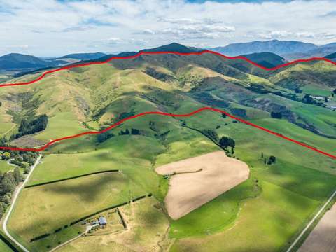 Sheffield 'Wyndale" - productive breeding unit