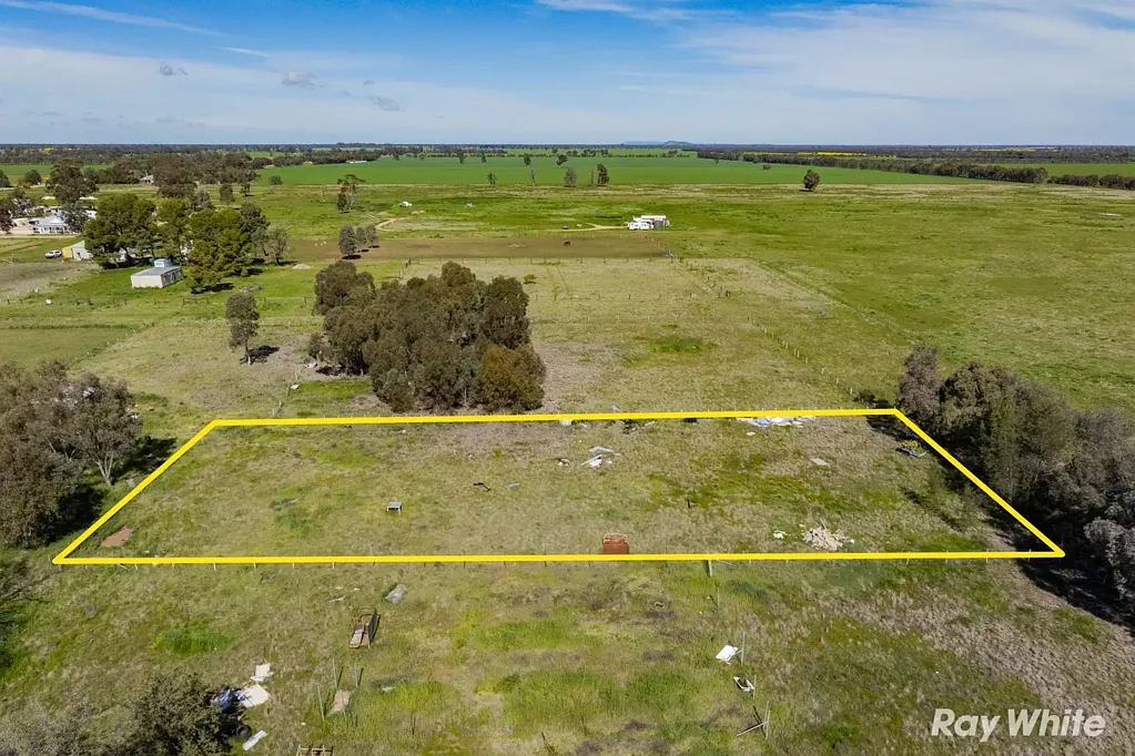 Matong Plenty of Space & Potential