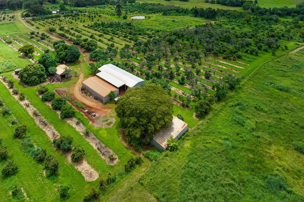 163 Amamoor Creek Road, Amamoor, QLD 4570