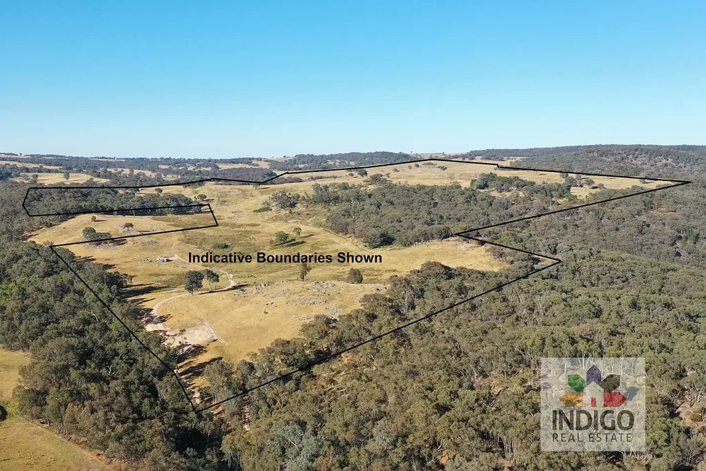 Beechworth  Woolsheds Golden Hills