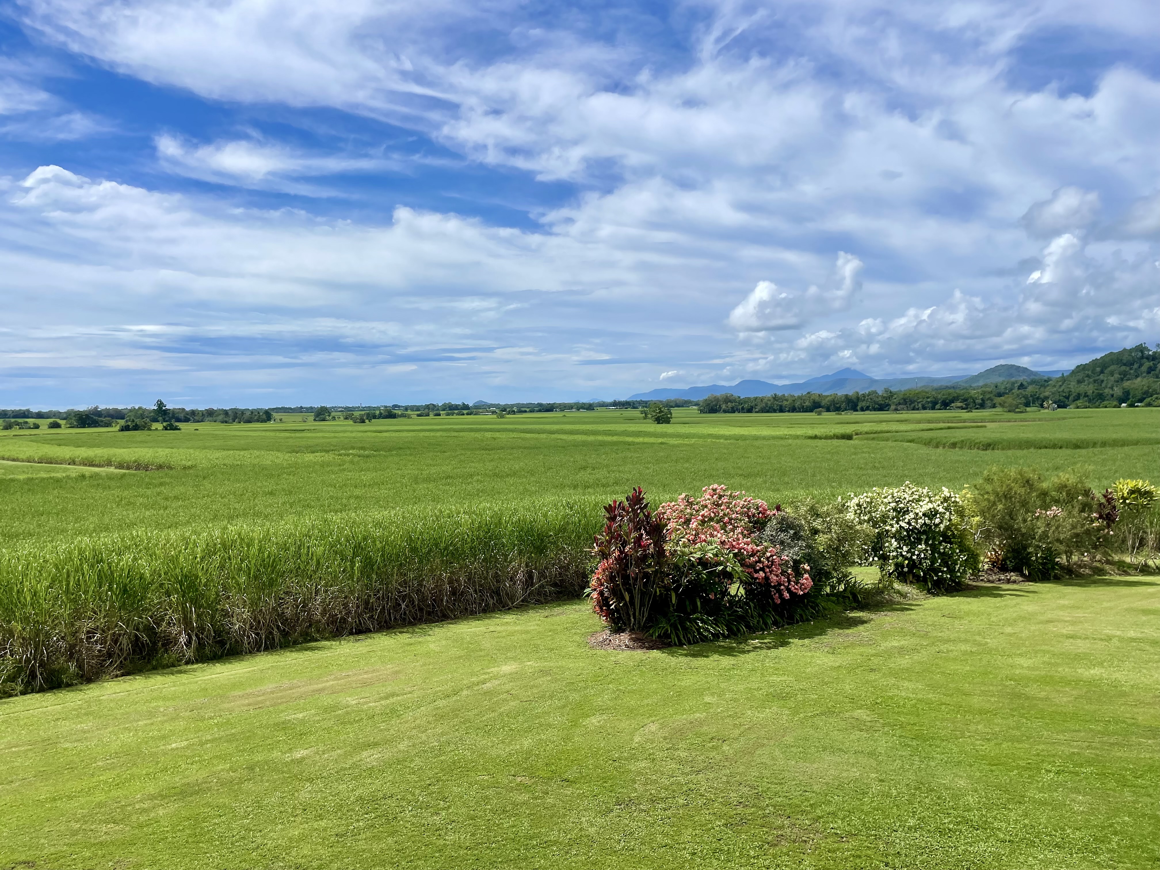 87 SCHILDS RD, MIALLO QLD 4873, 0 habitaciones, 0 baños, House