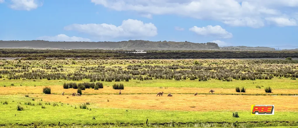 Venus Bay 2Habitaciones Outlook By Name And By Nature