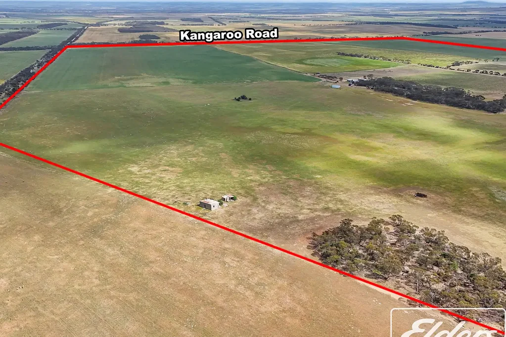 Langhorne Creek Secure Water Supply – Broadacre Cropping, Livestock Grazing & Boutique Vineyard