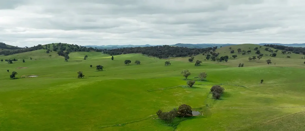 Mangoplah Mixed Farming - Mangoplah - Yerong Creek