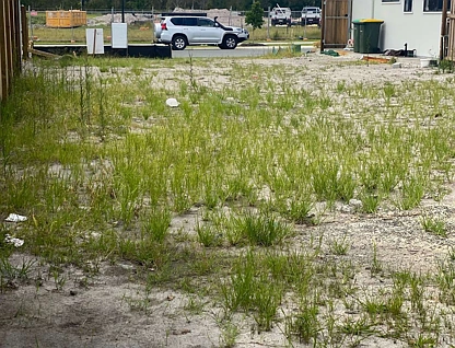 LOT 146/4 Forest Road, Palmview, QLD 4553, 0 Kuwarto, 0 Banyo, Section