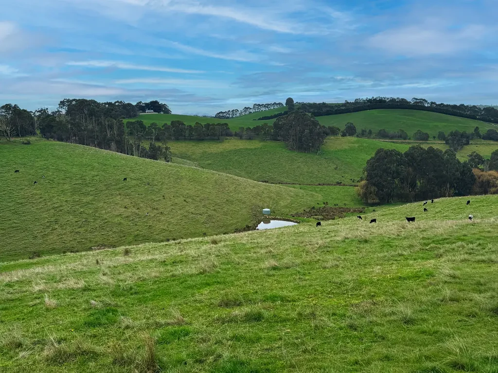 Berrys Creek  Versatile Turnout Paddock on Two Titles