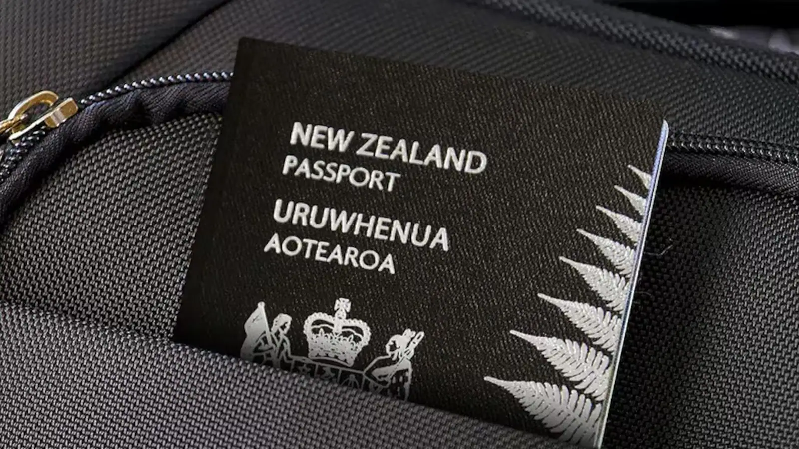 系统大升级!NZ护照换发时间又延长了,这次慢出新高度