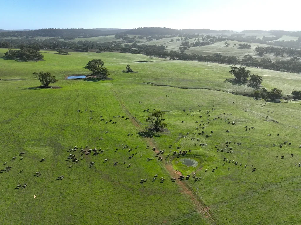 Dewars Pool 100 Acres of Opportunity