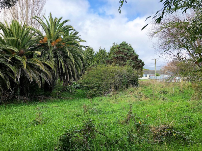 11 Grand Street, Shannon, Horowhenua, 0 rūma, 0 rūma horoi