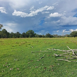 LOT 1 Nellers Road, New Moonta