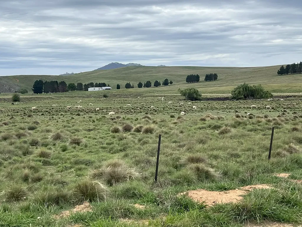 Michelago IDYLLIC RURAL LIFESTYLE 40 MINUTES TO CANBERRA & 1.5 HOURS TO NSW SKI FIELDS