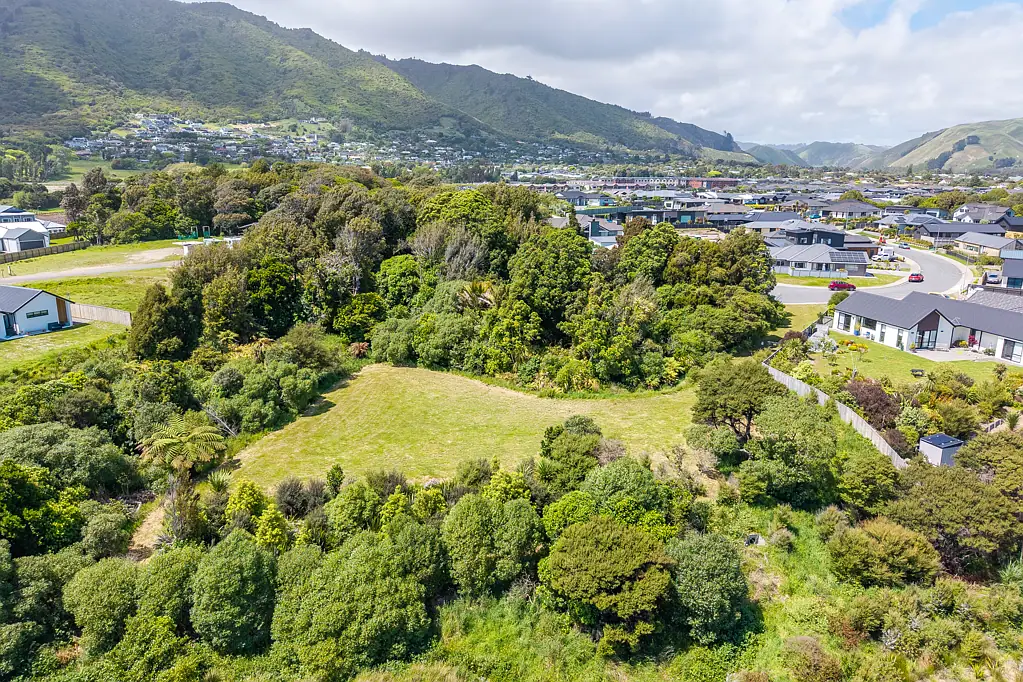 Waikanae Nature, Privacy & Space - Hidden Gem in Manu Park