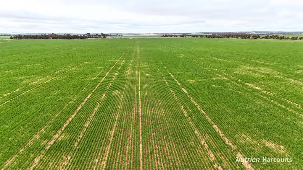 85 Four Mile Gate Road, Walgoolan, WA 6422