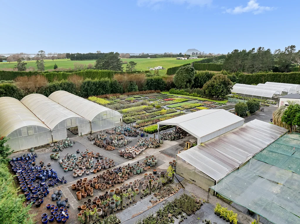 Te Puna Iconic Business, Immaculate Historic Villa