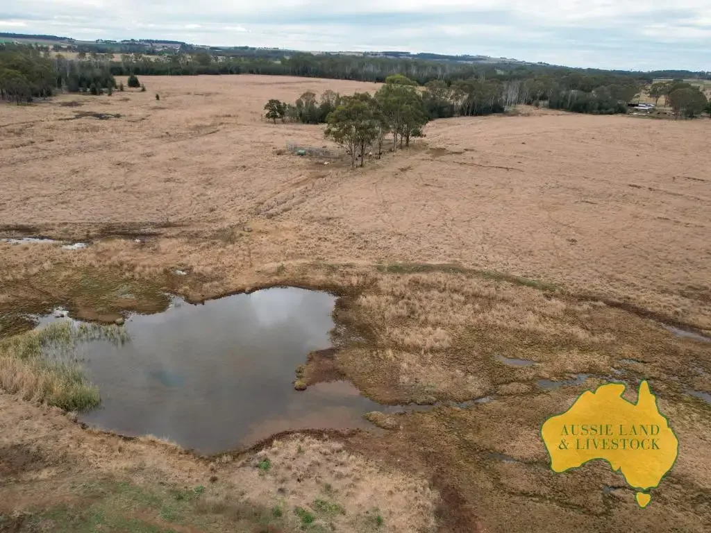 Memerambi Fertile country close to Kingaroy - BUY ONE OR SECURE BOTH!