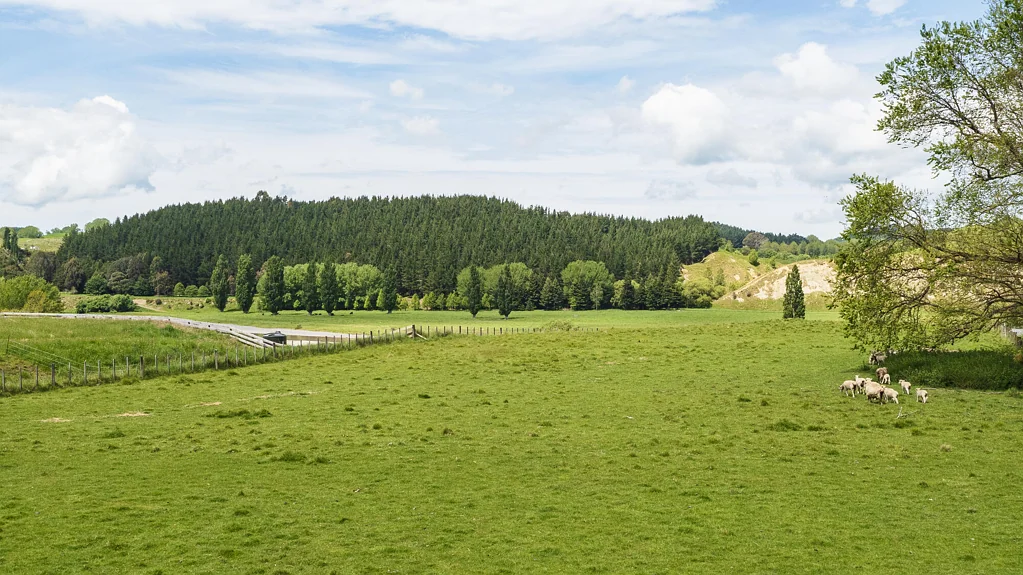 Otane Affordable prime bareland with river access