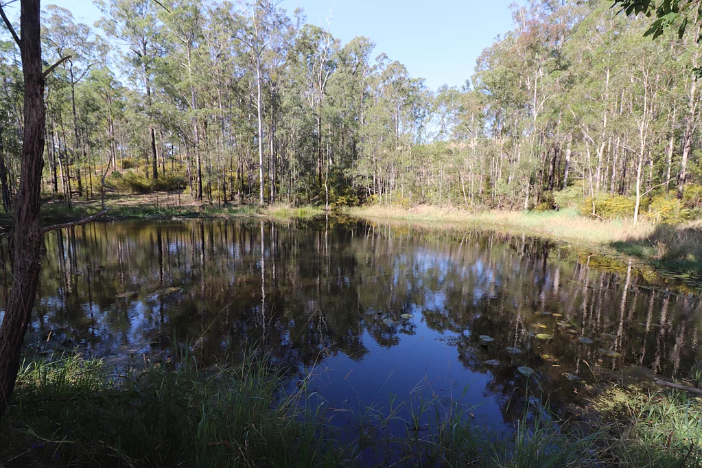 Collombatti  Acreage Close To Town