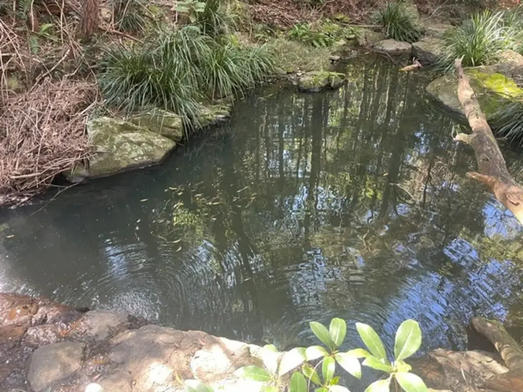 Ocean View AMAZING 9 ACRES – TRANQUIL SETTING