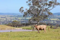 395 Crows Nest Road, Port Elliot