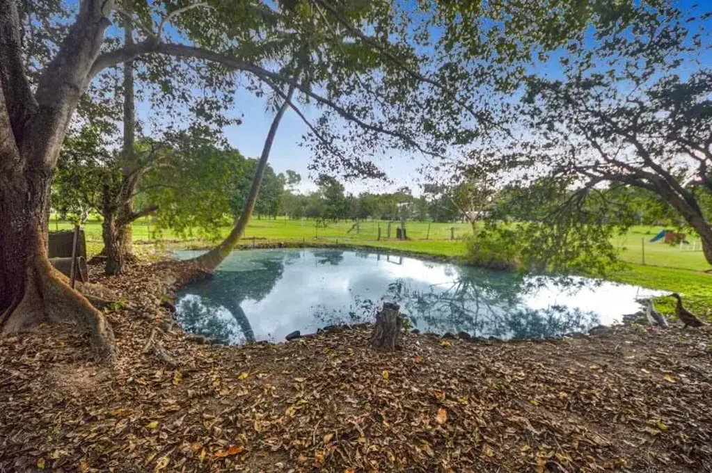 Kennedy 4房  Lifestyle Acreage Retreat – 3.3 Acres of Pure Opportunity!
$680K-Move-In Ready with So Much on Offer