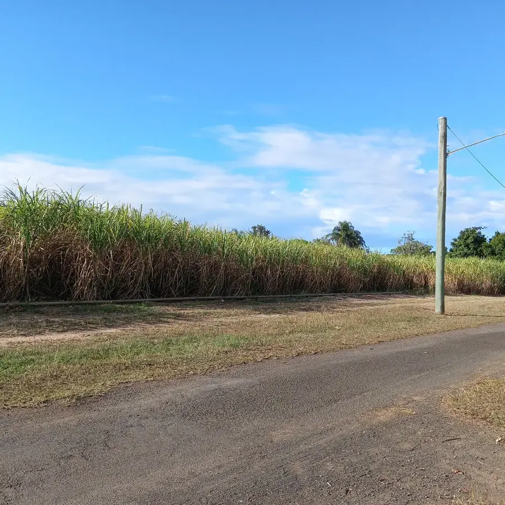 Horse Camp Ideal Development Farm