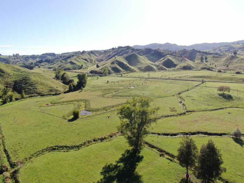 24 Ngapaki Road, Aria, Waitomo, 0 Schlafzimmer, 0 Badezimmer