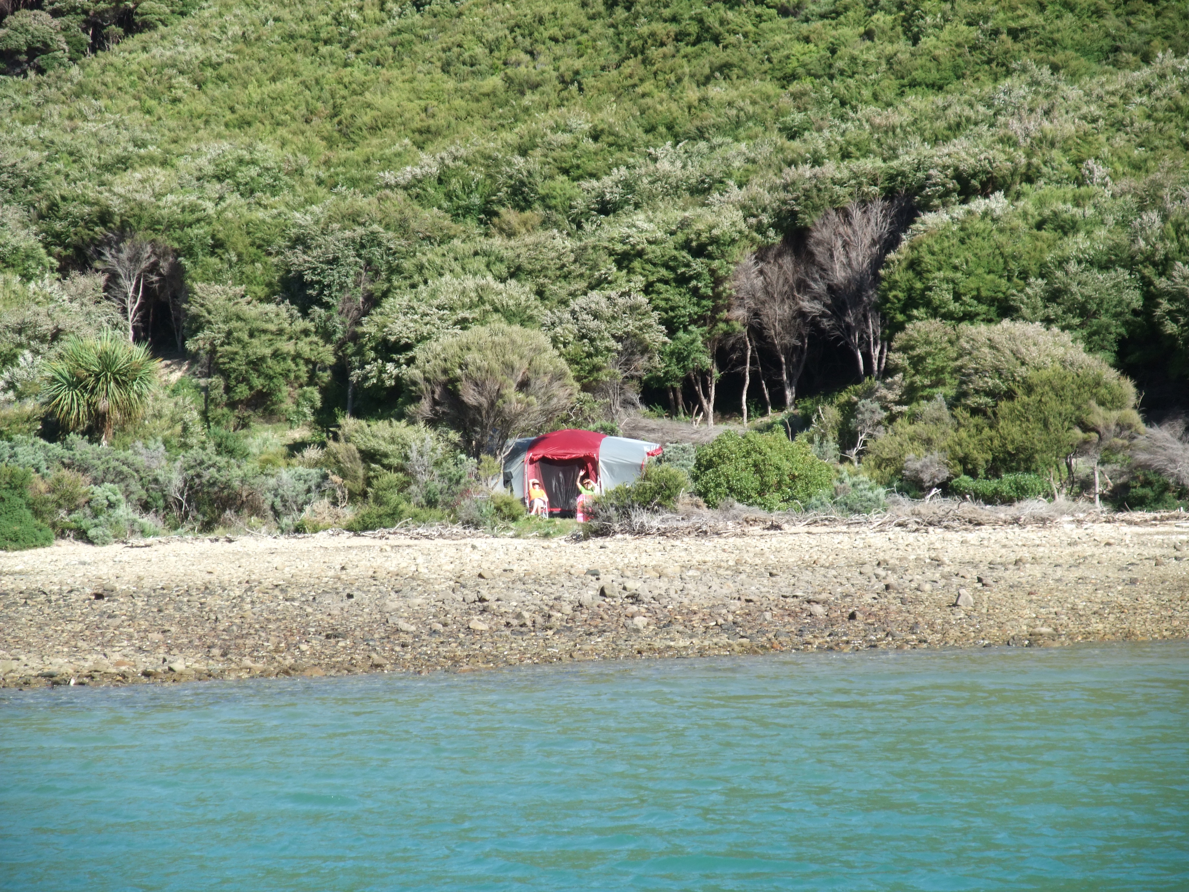 Otanerau Bay, Arapaoa Island, Marlborough, 0 rūma, 0 rūma horoi