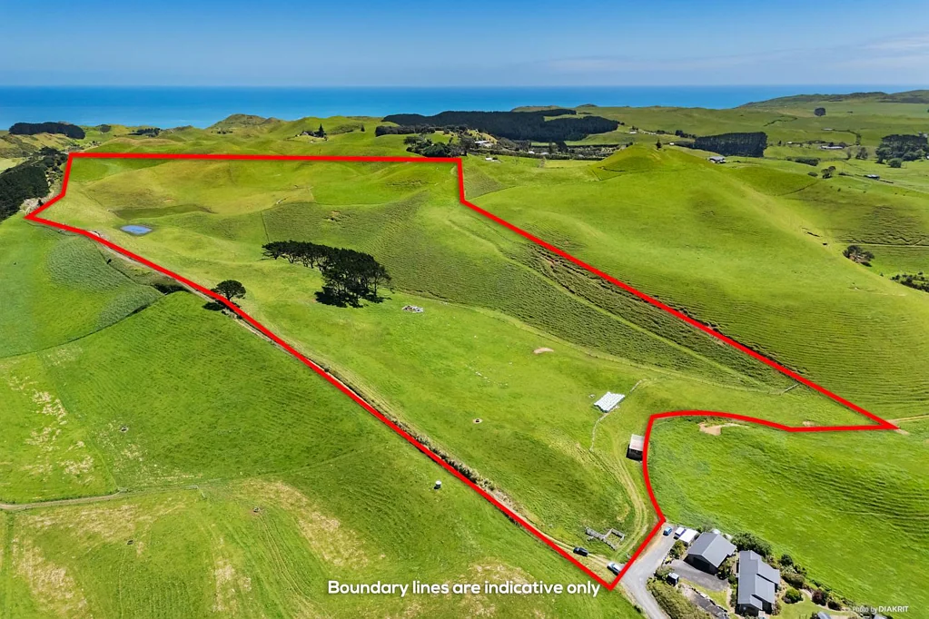 Otaua 稀世27英亩大地！优质水源+多建房平台可选，离网自给，收益潜力明确！ COUNTRY DREAM PROPERTY