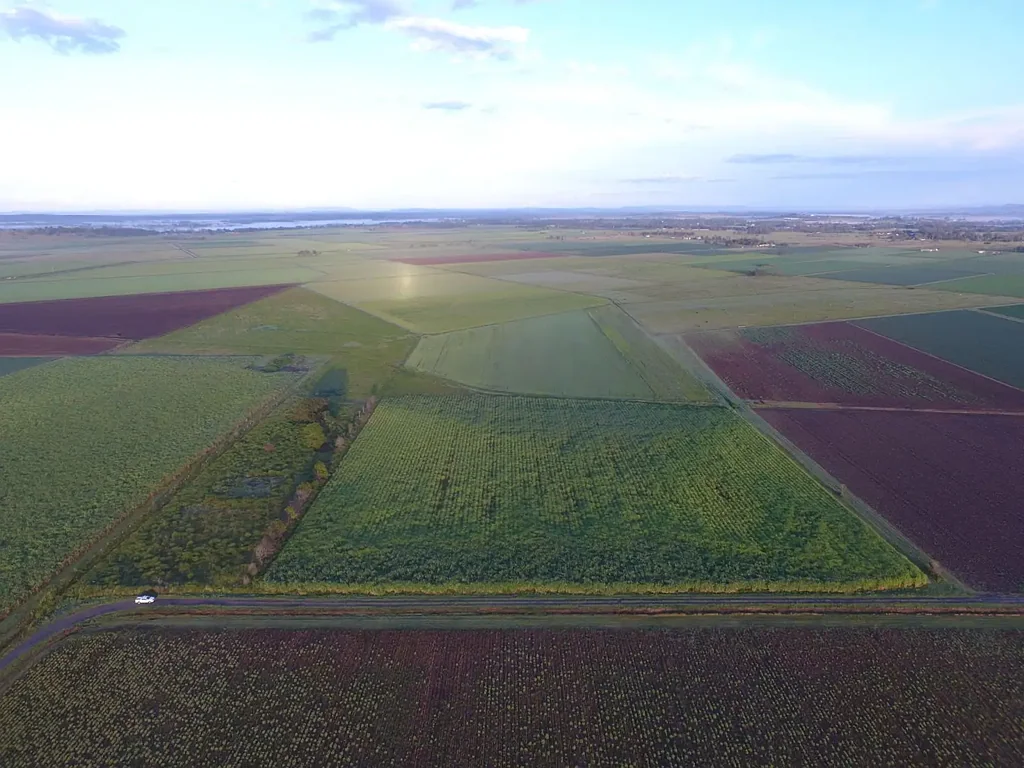 East Coraki MIXED FARMING OPPORUNITY - EAST CORAKI