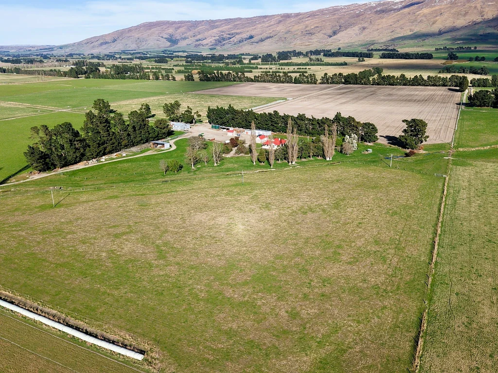 Middlemarch  Productive Dairy Support and Finishing