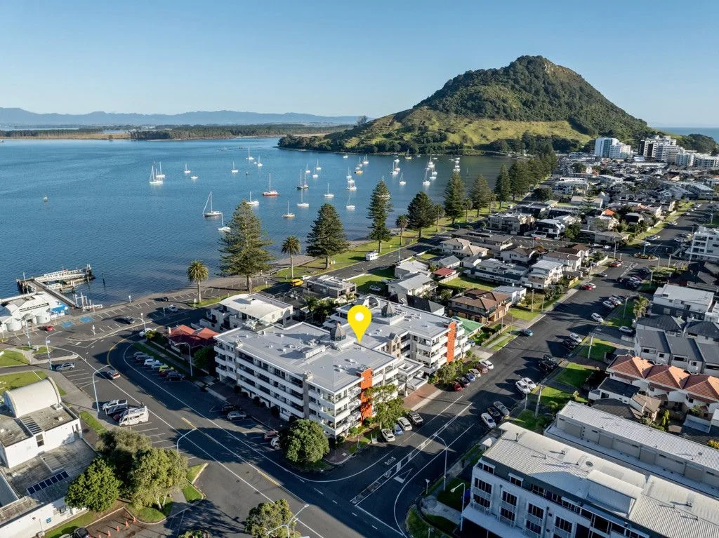 Mount Maunganui 1房  Vendor needs this one gone!