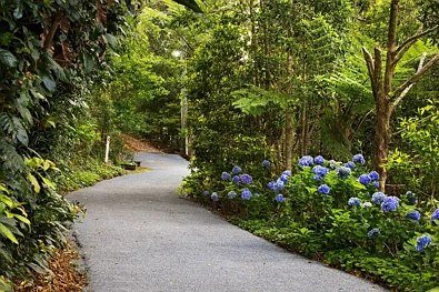 162 Repeater Station Road, Springbrook, QLD 4213, 4 Bedrooms, 5 Bathrooms, House