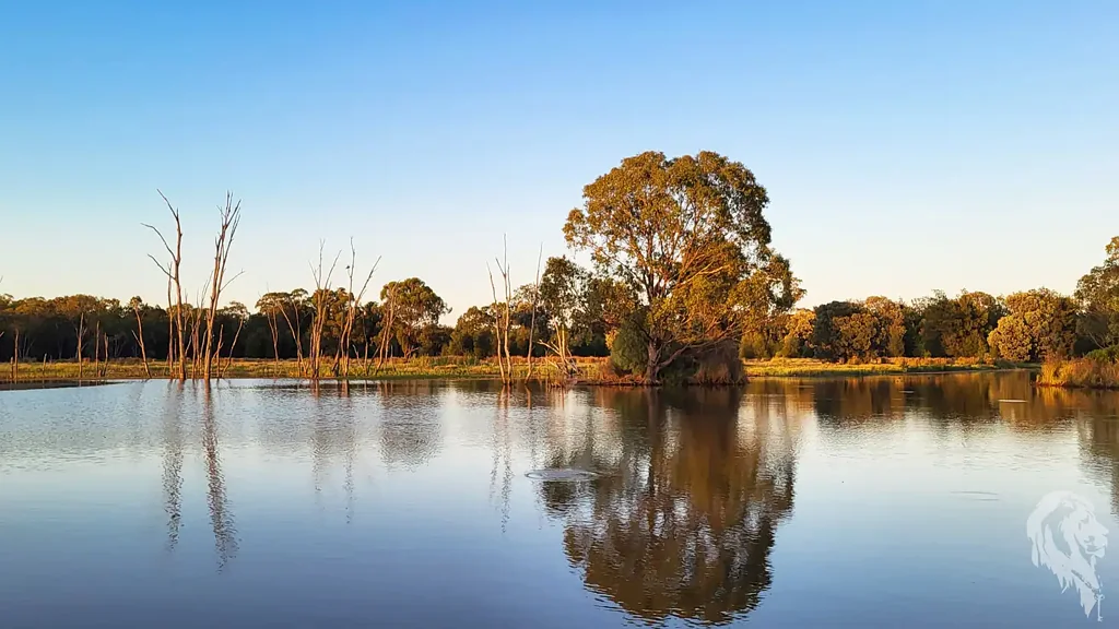Wee Waa  PRIVATE OFF-GRID LIFESTYLE RETREAT WITH EXTENSIVE MODERN UPGRADES