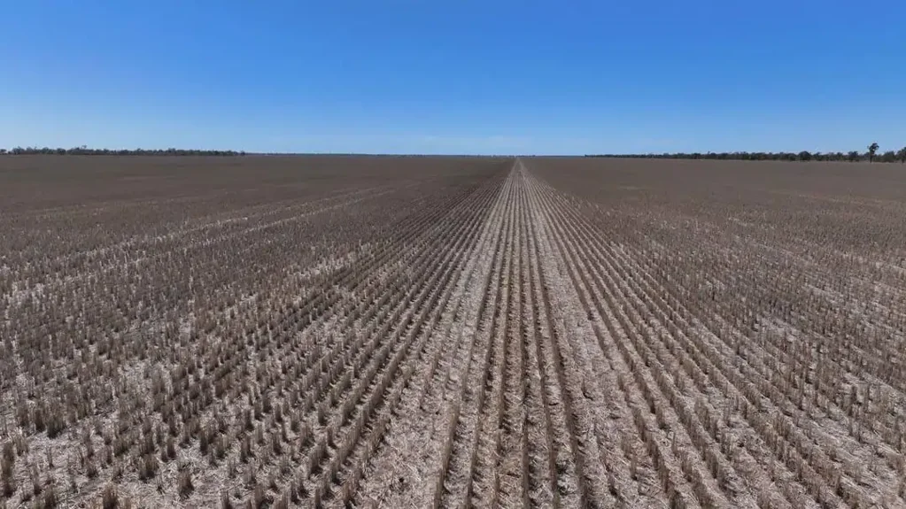 Walgett "Warrindilla" Walgett