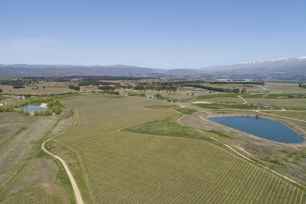 Alexandra  A Lifestyle Dream Among the Vines
