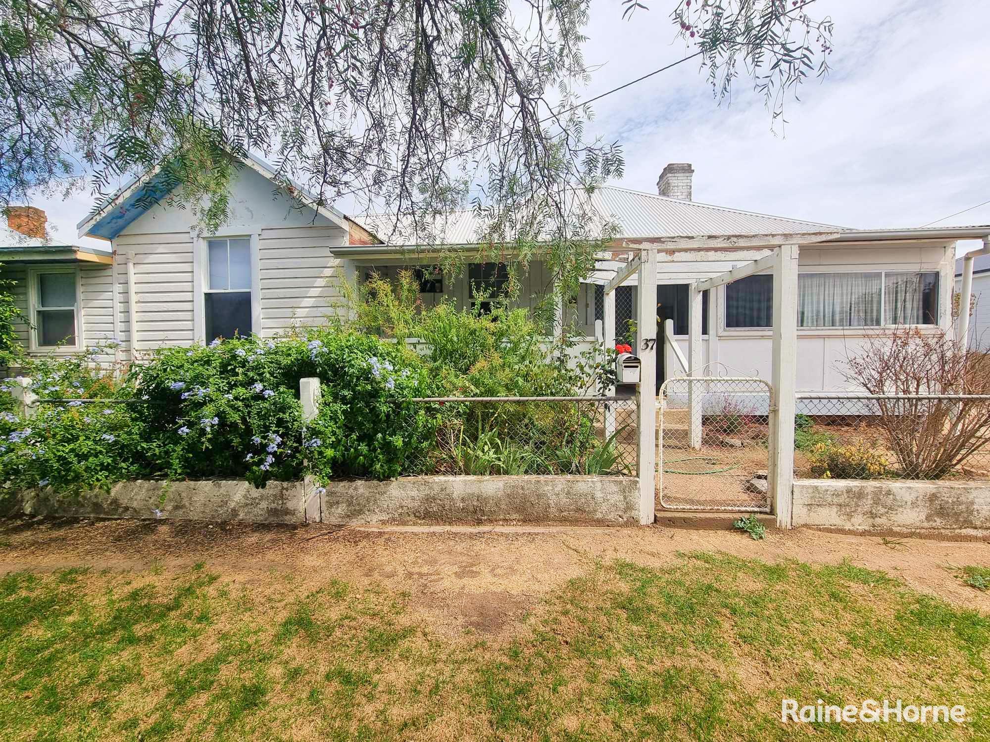 37 MURRINGO ST, YOUNG NSW 2594, 0 rūma, 0 rūma horoi, House