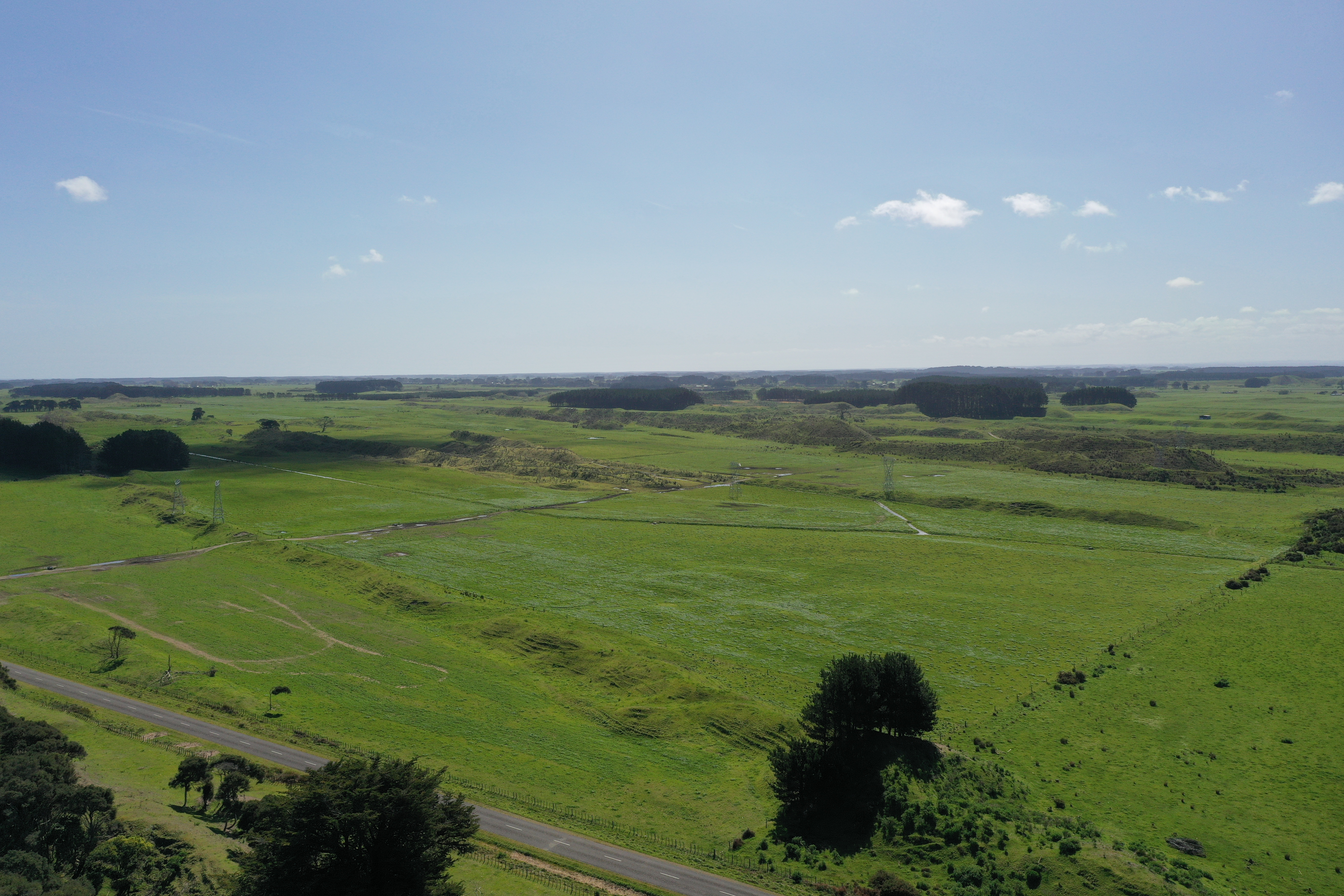 Paranui Road, Foxton, Horowhenua, 0 कमरे, 0 बाथरूम, Grazing