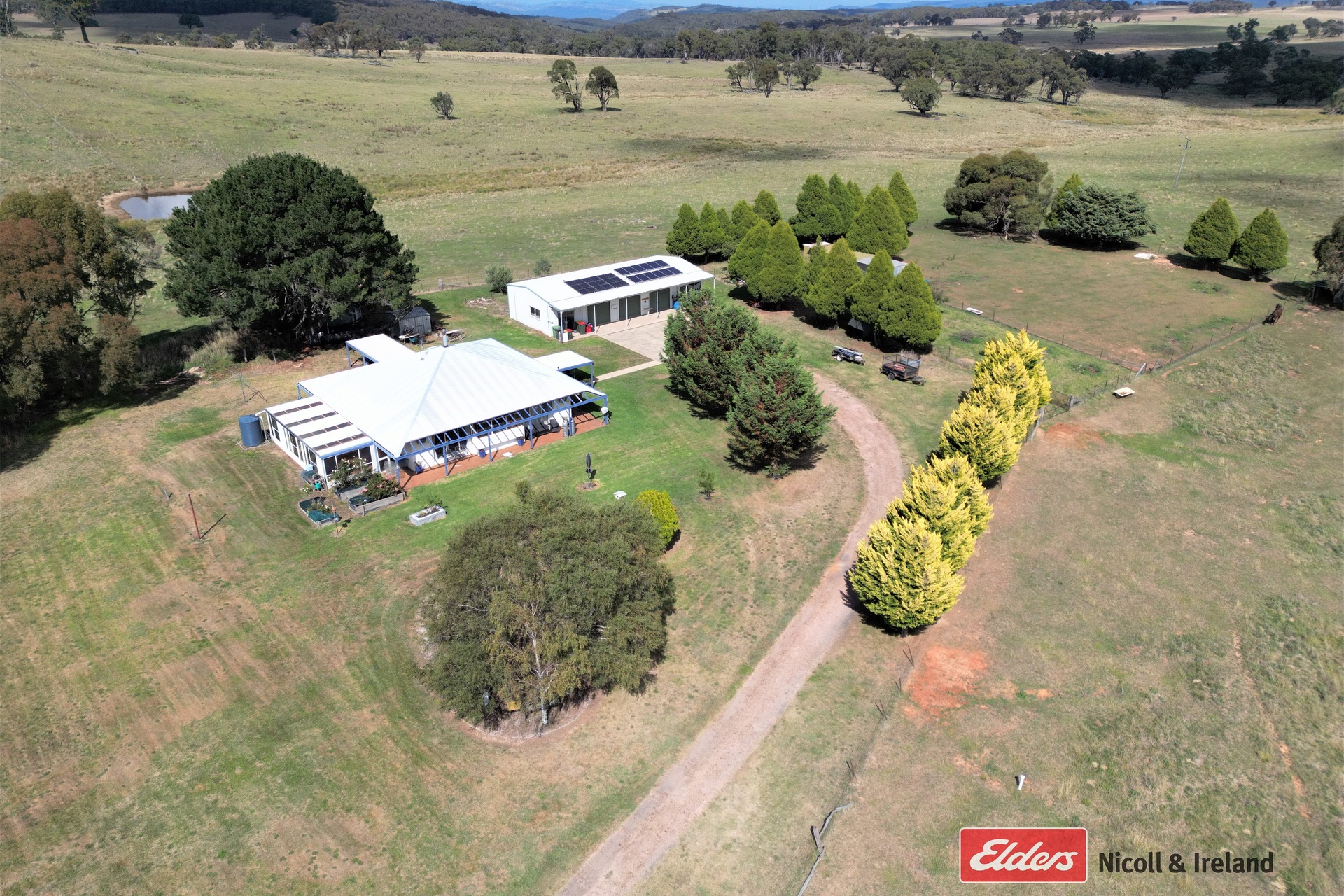 GANG GANG 100 PITLOCHRY RD, NEVILLE NSW 2799, 0 rūma, 0 rūma horoi, Lifestyle Property