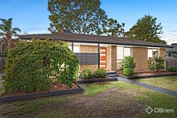 17 Sherbourne Avenue, Bayswater North