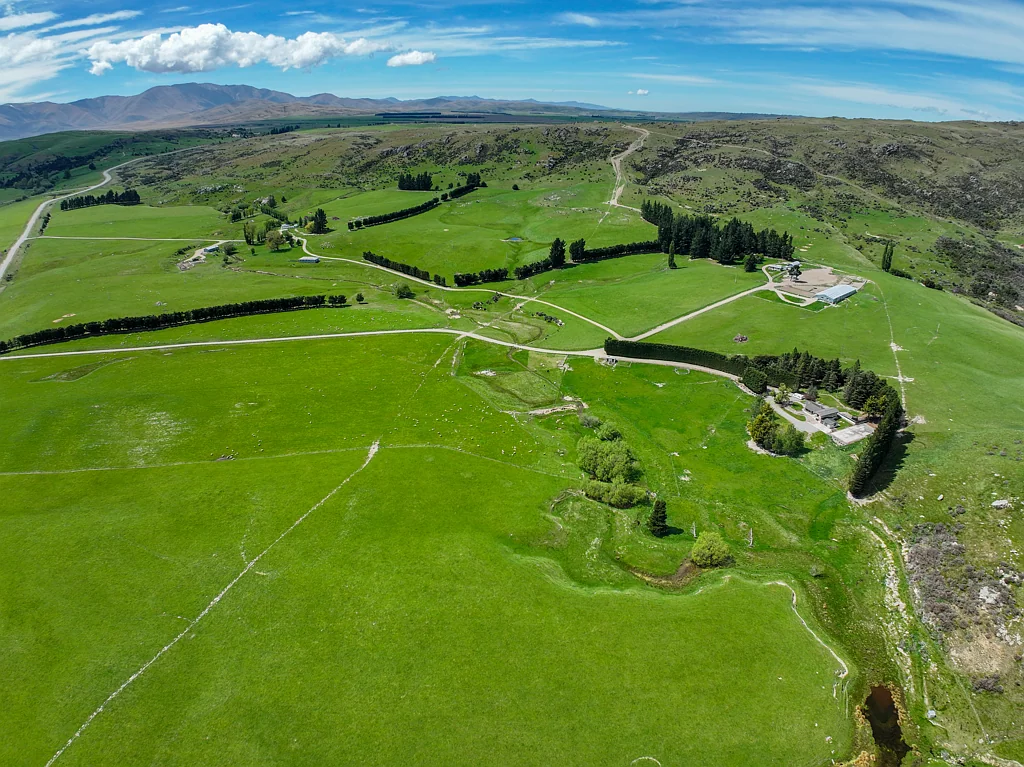 Oturehua  Hills Creek