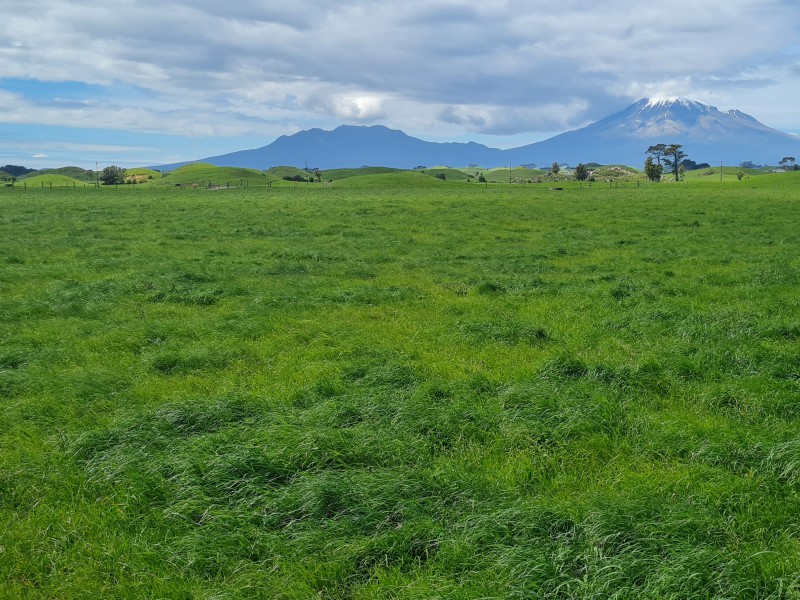 152a Pungarehu Road, Pungarehu, South Taranaki, 0 Schlafzimmer, 0 Badezimmer, Dairy