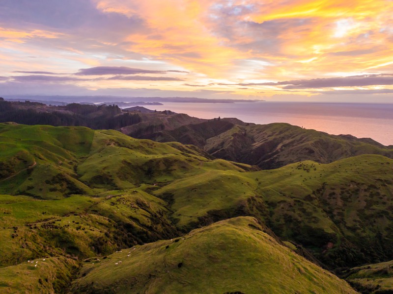 489 Paritu Road, Bartletts, Gisborne, 0 rūma, 0 rūma horoi