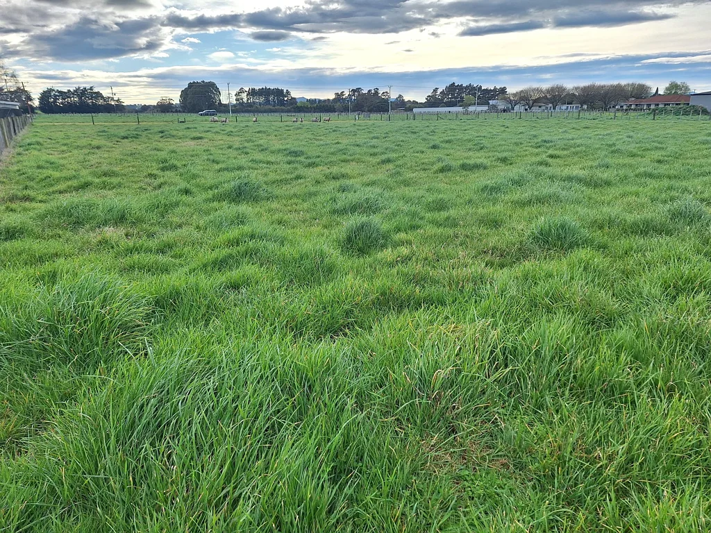 Dannevirke Laws Road Lifestyle