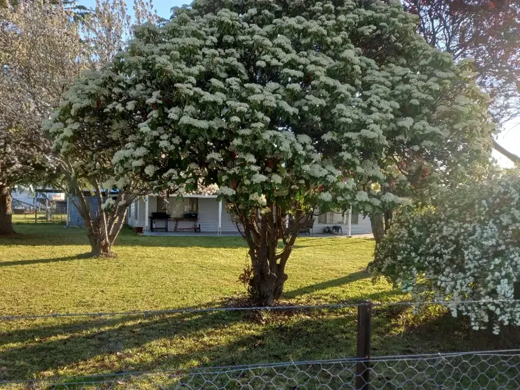 Kings Plains 4Zimmer Millie View – Lifestyle Acreage with Endless Potential
4-Bedroom Home | 2.547ha | Kings Plains, NSW 2360