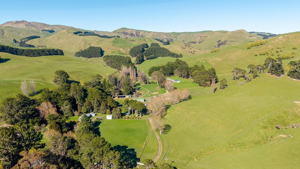 Dannevirke  Waitarere - 369 ha