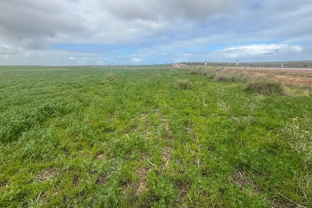 Lot 17 White Cliffs Road, Sandy Gully, WA 6535